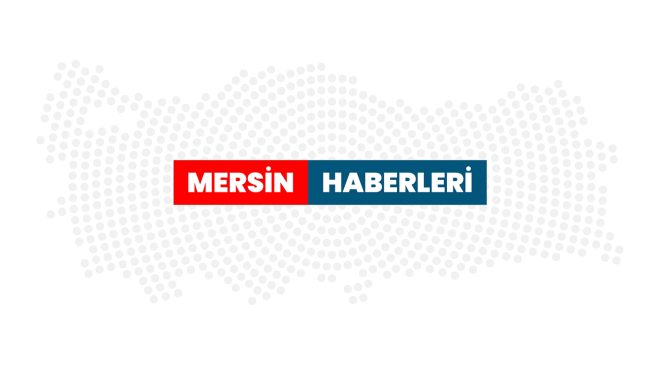Mersin’de kaçakçılık operasyonunda 1 şüpheli yakalandı