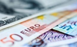 Serbest piyasada döviz açılış fiyatları (24 Aralık 2024)